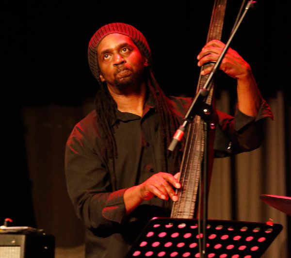 Colin McNeish - Bass Player